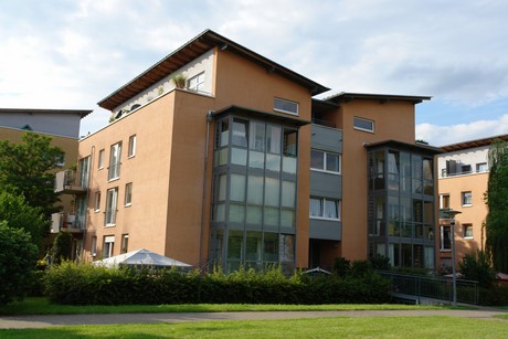 holweide