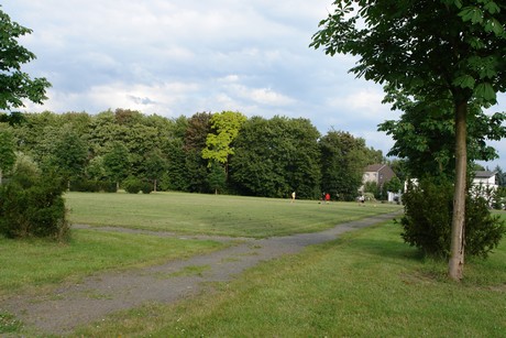 holweide