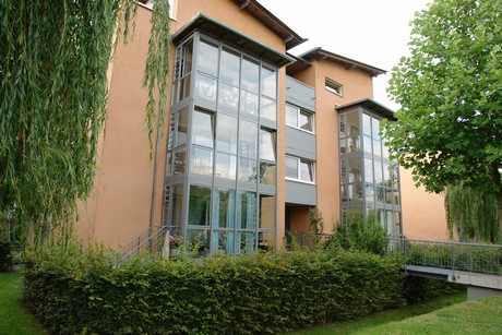 holweide