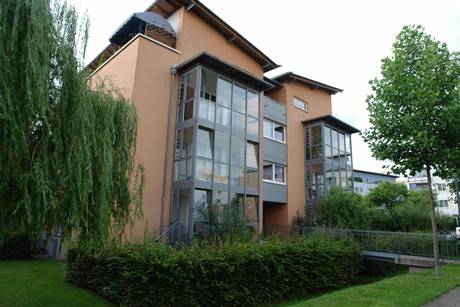 holweide