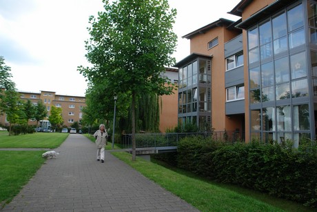 holweide
