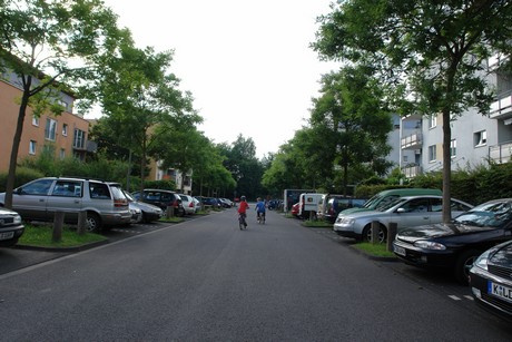holweide