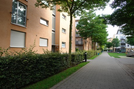holweide