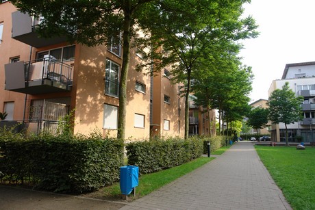 holweide