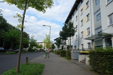 holweide