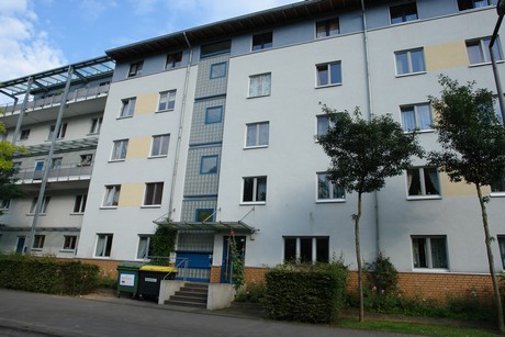 holweide