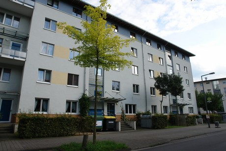 holweide
