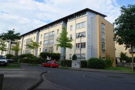 holweide
