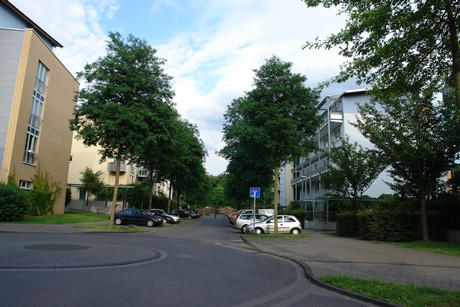 holweide