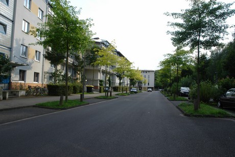 holweide
