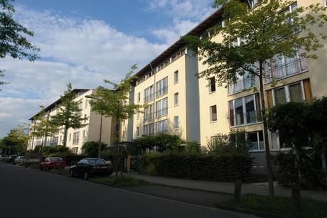 holweide