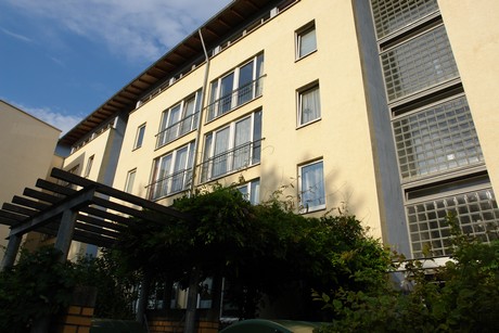 holweide