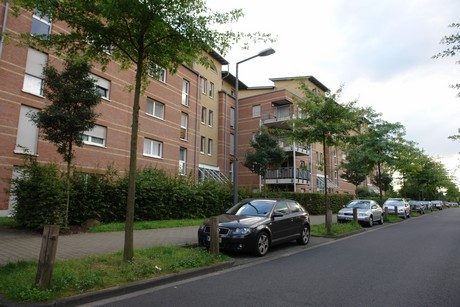 holweide