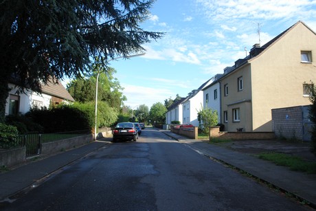 holweide