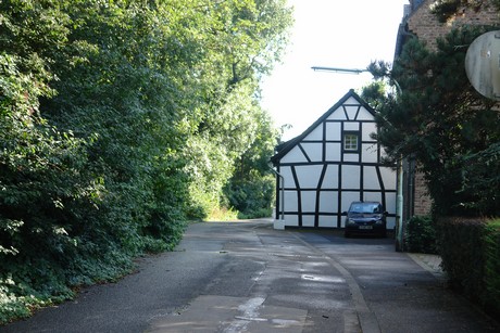 holweide