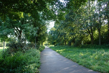 holweide