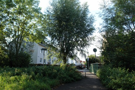 holweide