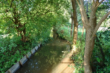 holweide