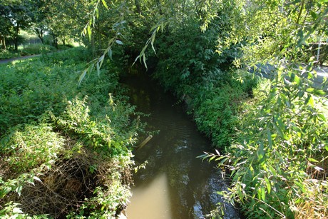 holweide