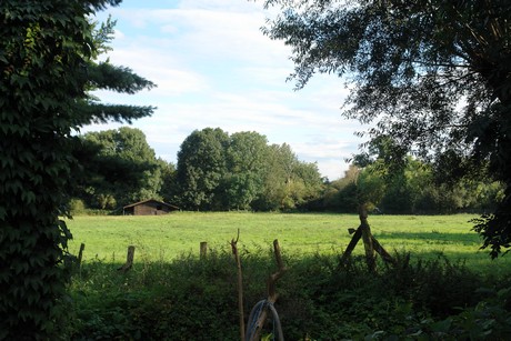 holweide