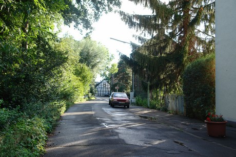 holweide