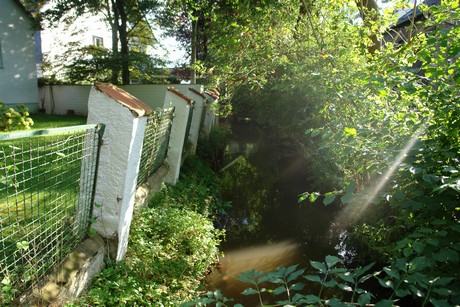 holweide