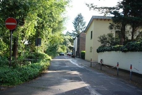 holweide