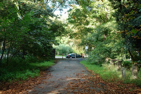 holweide