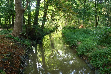 holweide