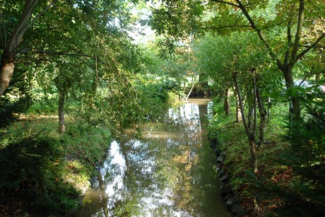 holweide