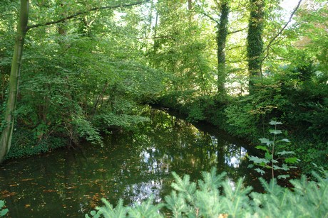 holweide