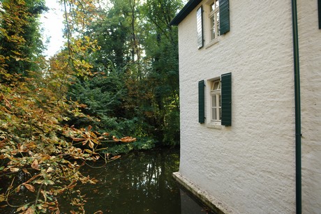holweide