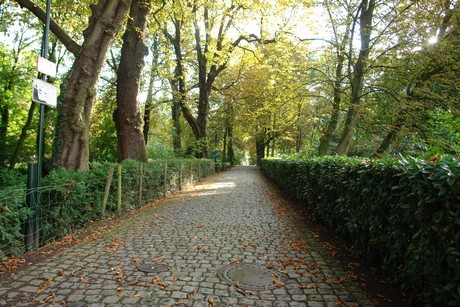 holweide