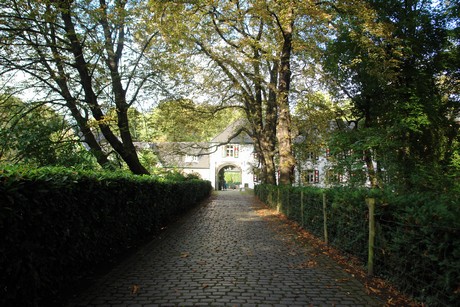 holweide