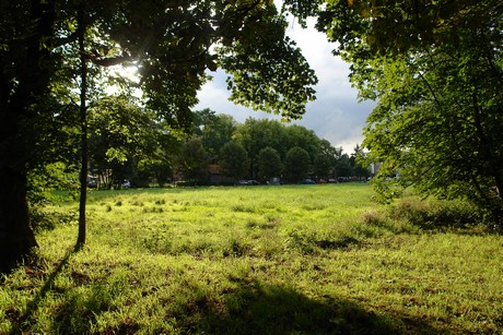 holweide