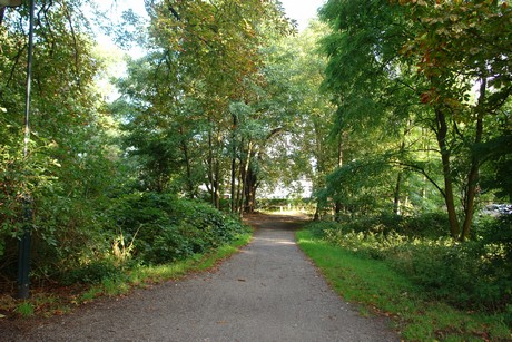 holweide