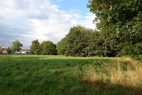 holweide