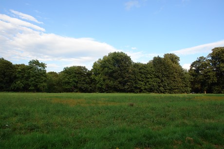 holweide