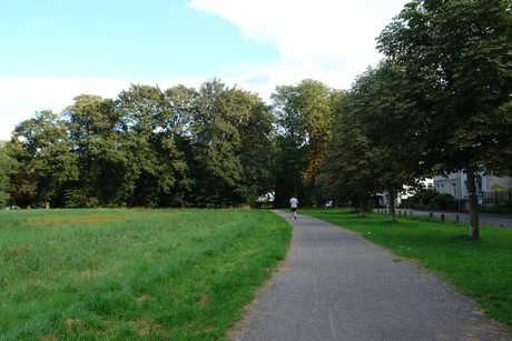 holweide