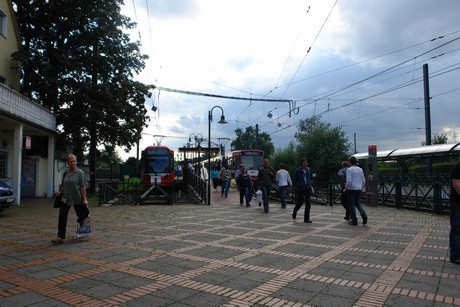 holweide
