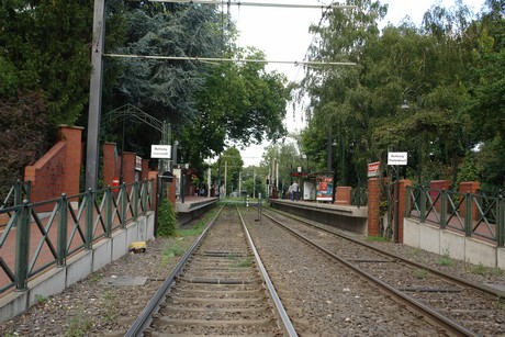 holweide