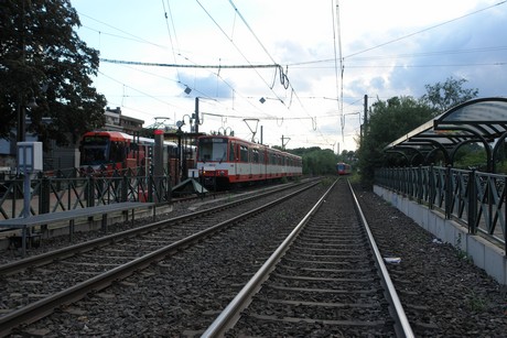 holweide