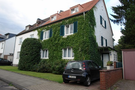 holweide