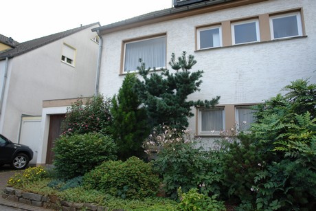 holweide