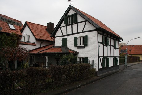 holweide