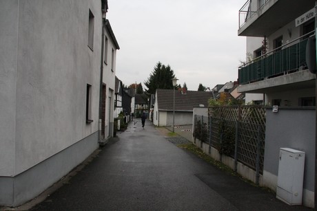 holweide