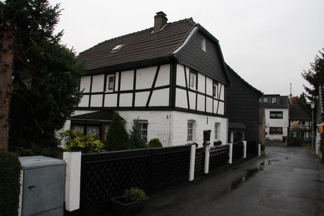 holweide