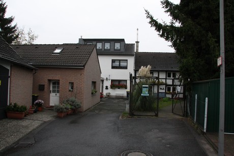 holweide