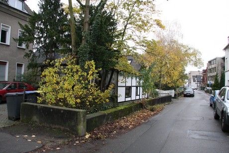 holweide