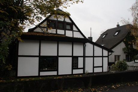 holweide